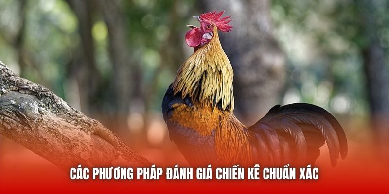 Các phương pháp đánh giá chiến kê chuẩn xác